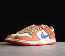 Nike SB Dunk Low